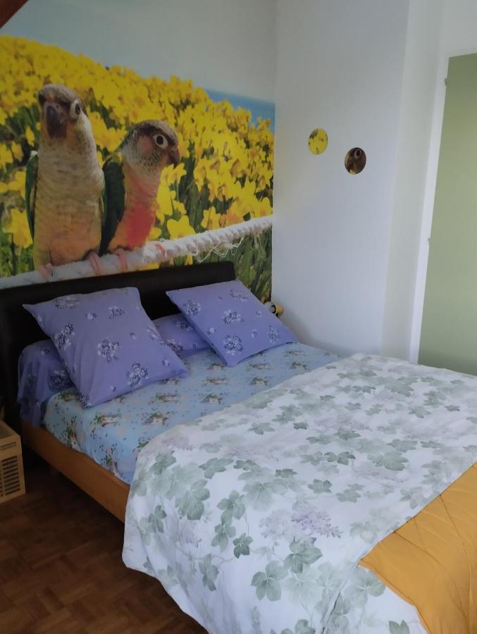פונטורסון Chambres D'Hotes Du Clos Du Roi מראה חיצוני תמונה
